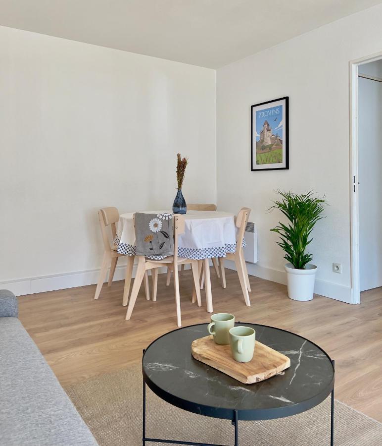 La Voulzie Appartement - Proche Centre Avec Parking Prive โพรแว็ง ภายนอก รูปภาพ