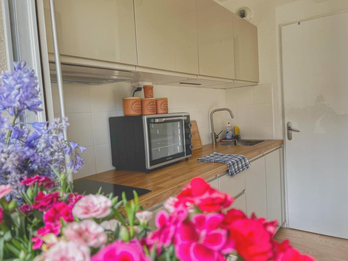 La Voulzie Appartement - Proche Centre Avec Parking Prive โพรแว็ง ภายนอก รูปภาพ
