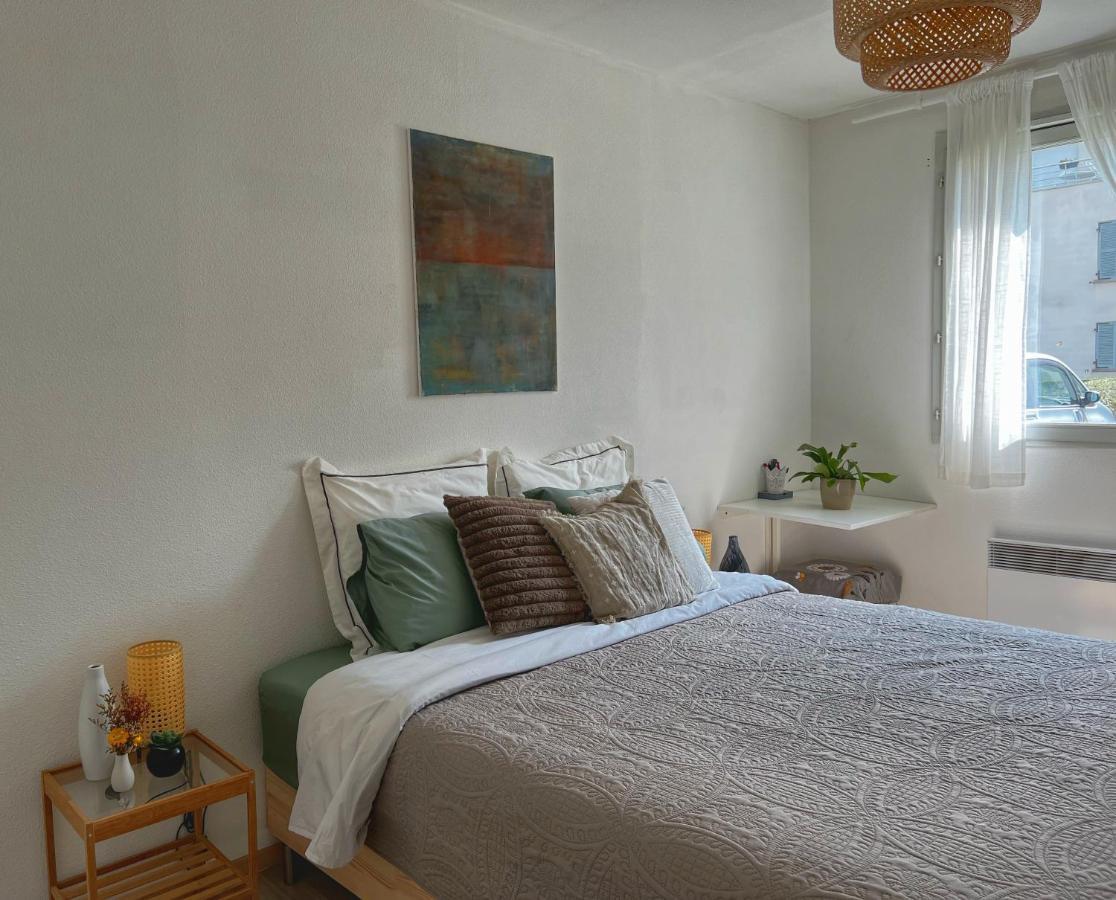 La Voulzie Appartement - Proche Centre Avec Parking Prive โพรแว็ง ภายนอก รูปภาพ