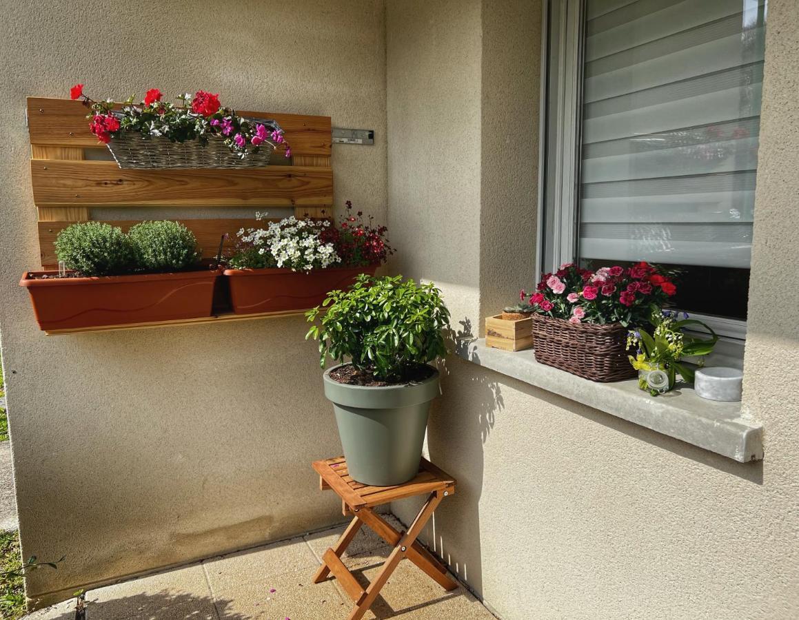 La Voulzie Appartement - Proche Centre Avec Parking Prive โพรแว็ง ภายนอก รูปภาพ